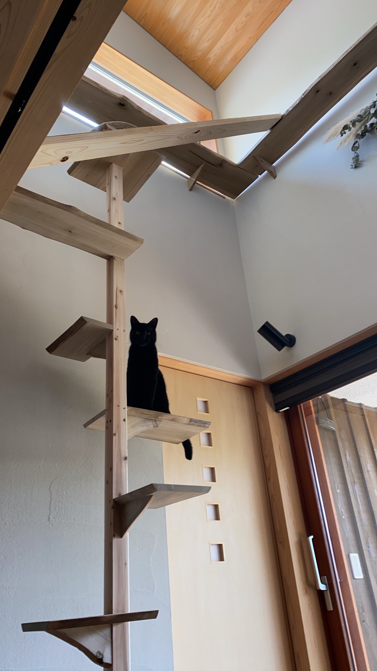 木の外壁が印象的な住宅